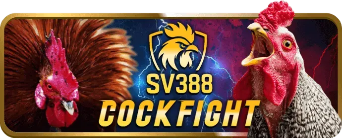 Biểu tượng tiện lợi và nhanh chóng của ứng dụng VN123